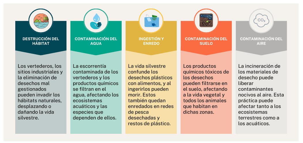 Residuos y destruccion de ecosistemas