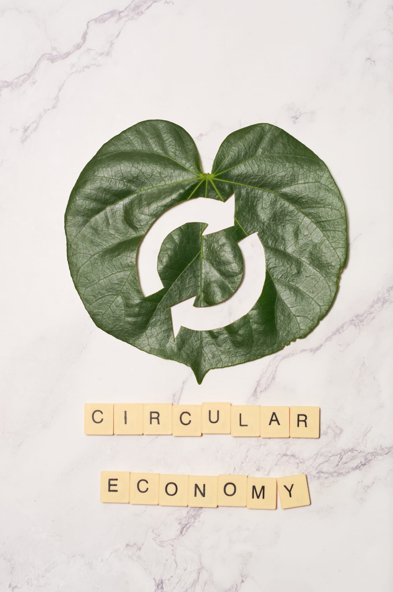 Economía Circular