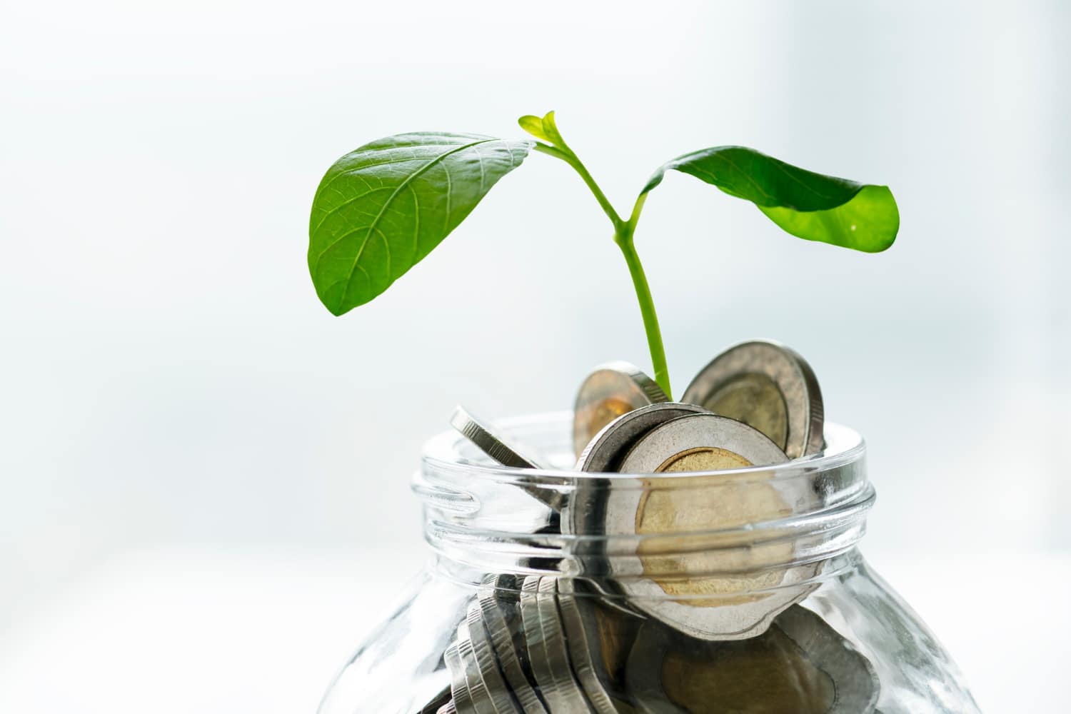 green-economy-jar-with-money-and-growing-plant Por qué es necesario medir la huella de carbono
