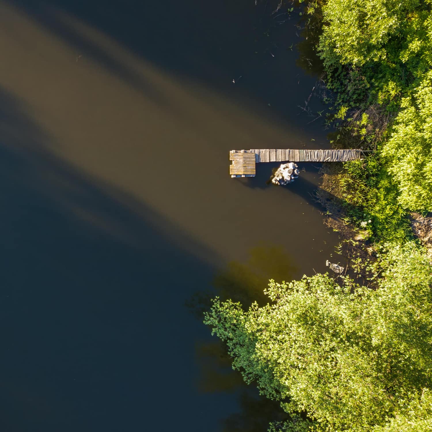 aerial-view-over-sunny-lake-surrounded-by-pine-tree-forest-and-wooden-bridge-during-the-sunny-summer-day-photo-by-drone cuidado de recursos naturales