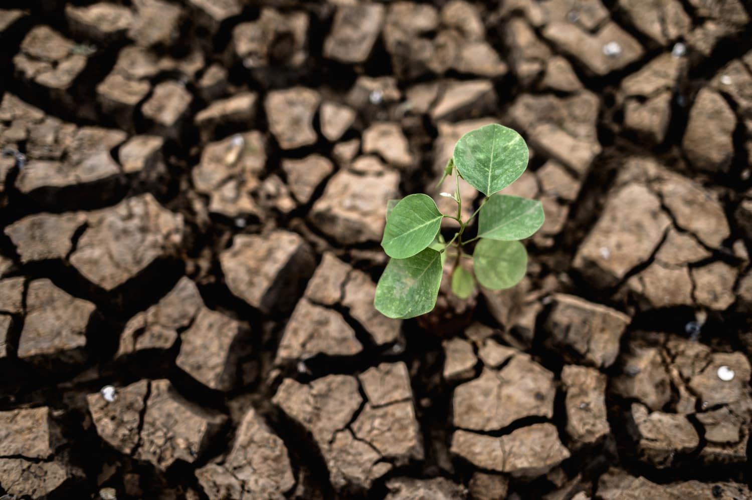 Plan Climático Plan Climático