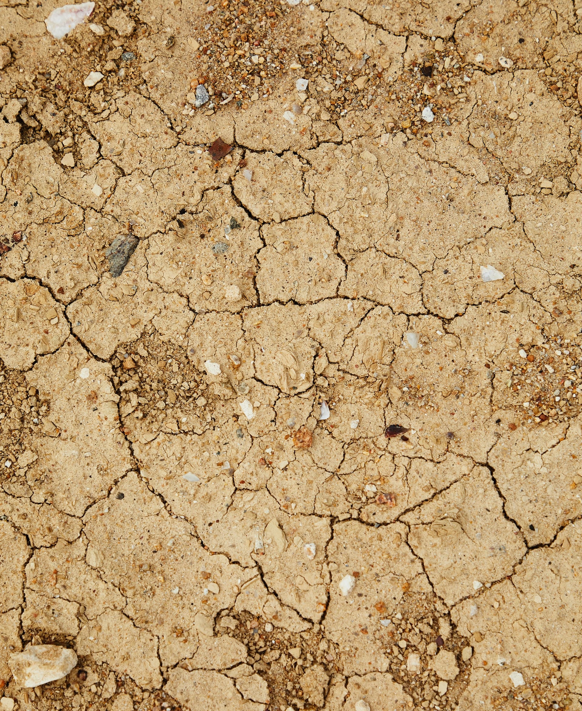 Cambio Climático Cambio Climático