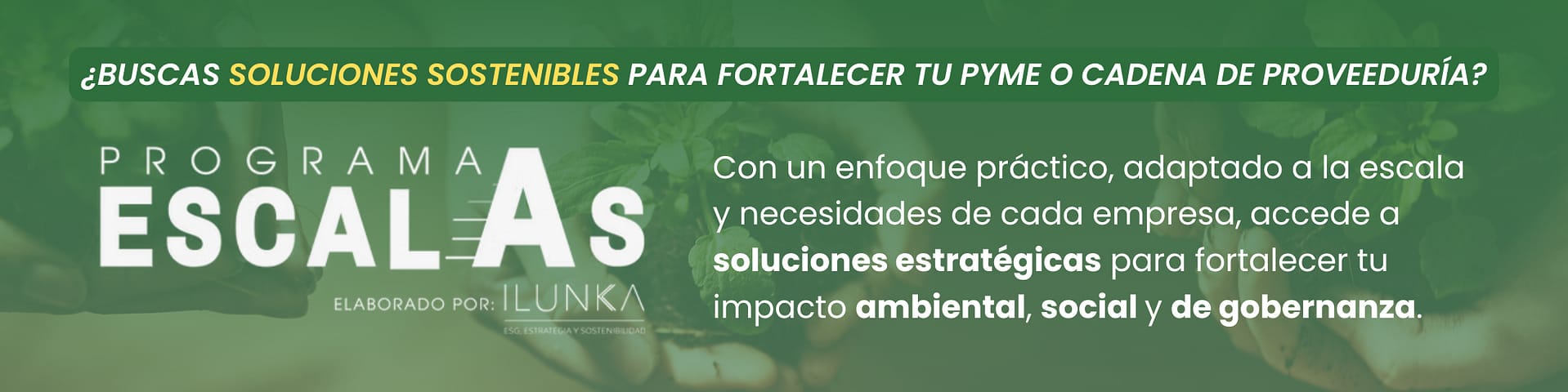 Programa ESCALAS (1)