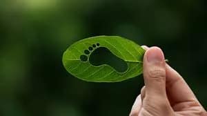 carbon footprint