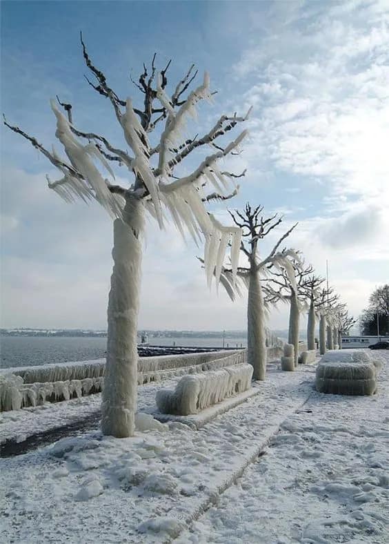 nievea efectos de cambio climático